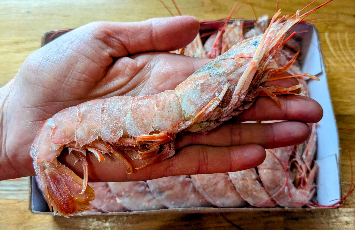 Argentine Red Prawns XL Wild. Raw. 2kg box