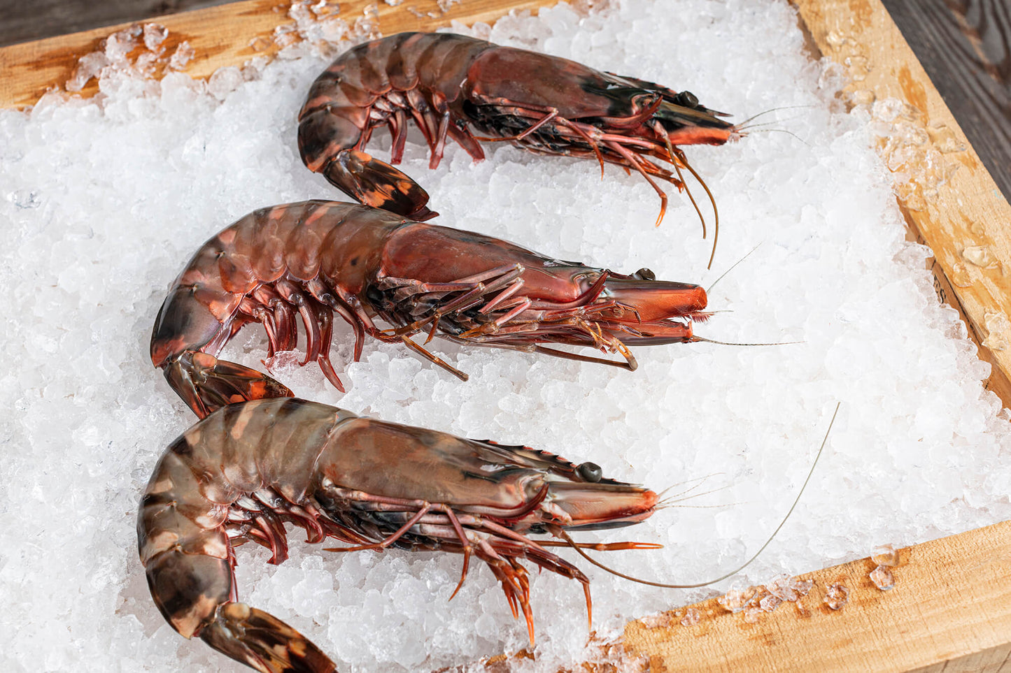 Jumbo Wild Tiger Prawns- COMING SOON