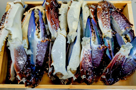 Deep Sea Blue Crab - Claws and "Mouths".