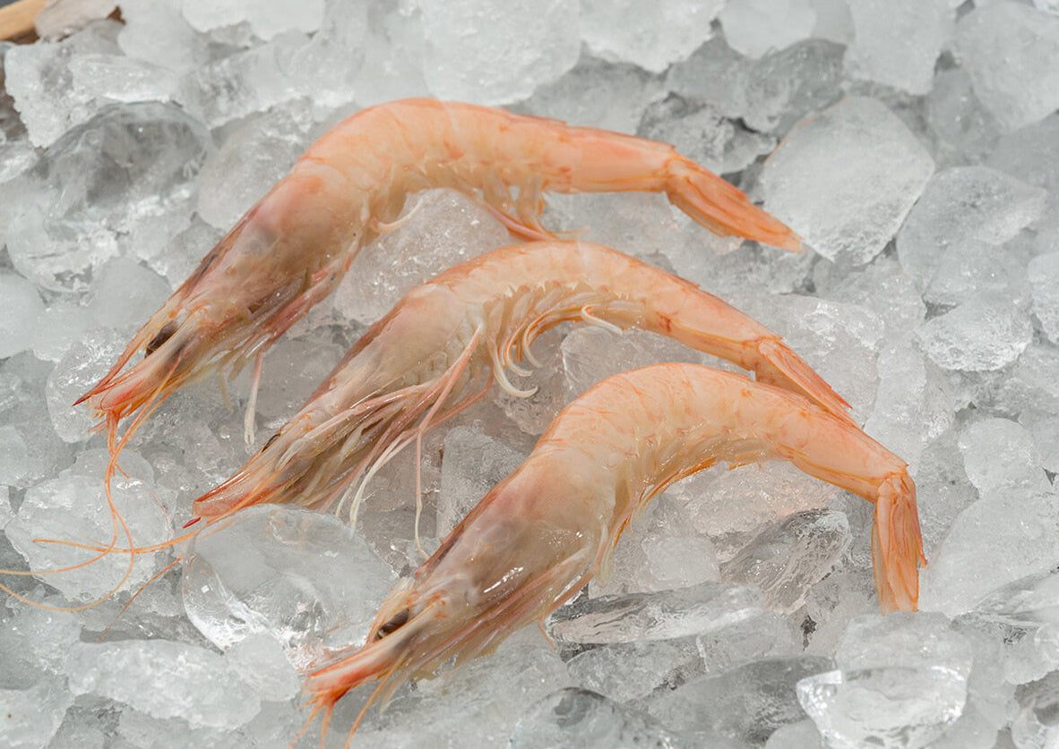 Gamba Blanca de Huelva (Huelva White Shrimp)