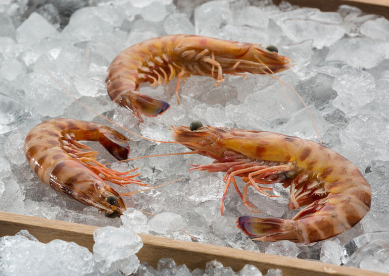 Wild Tiger Prawn